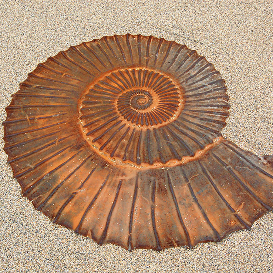 Cast Iron Ammonite Floor Feature